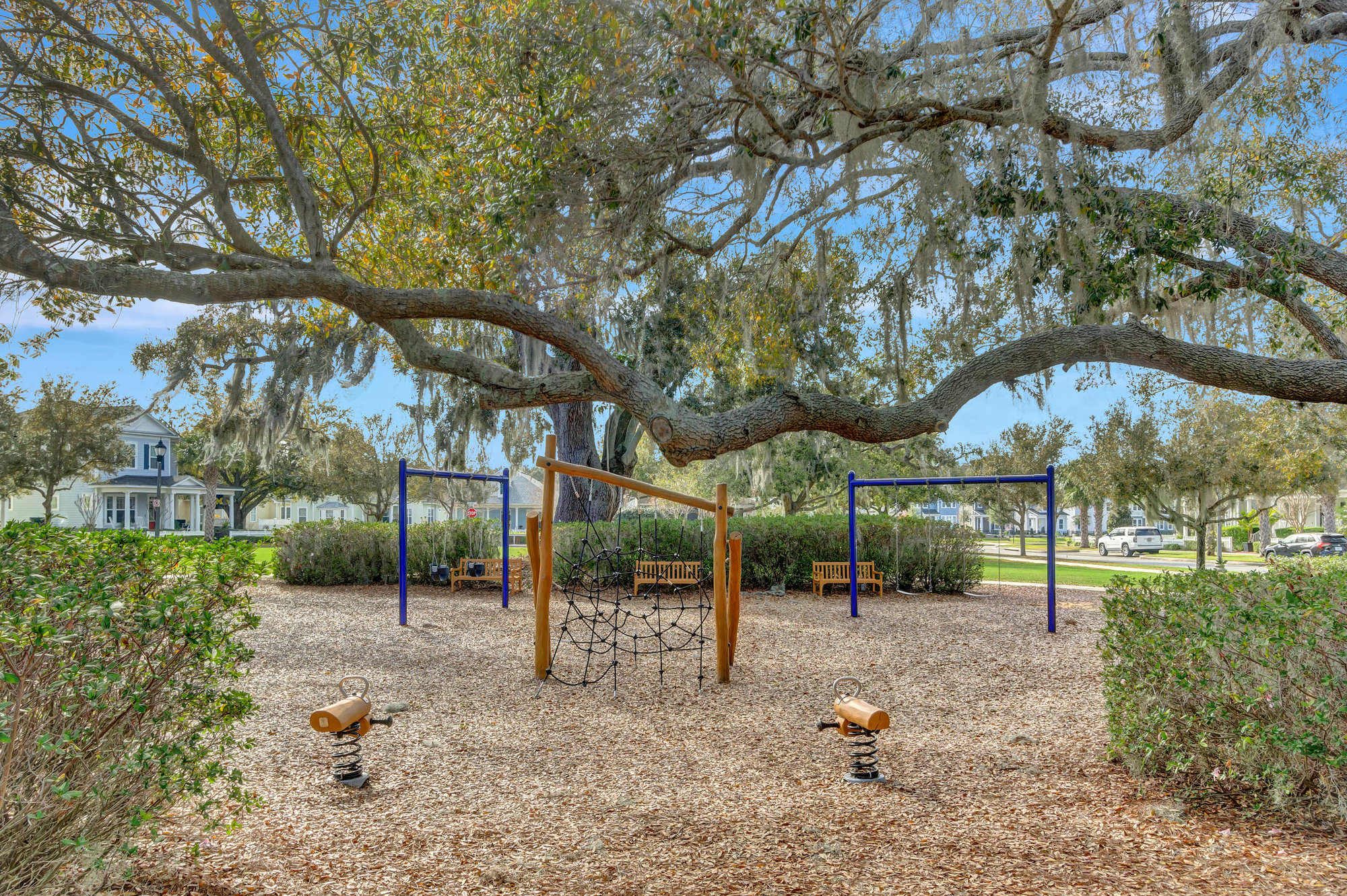 play ground with swings and large trees